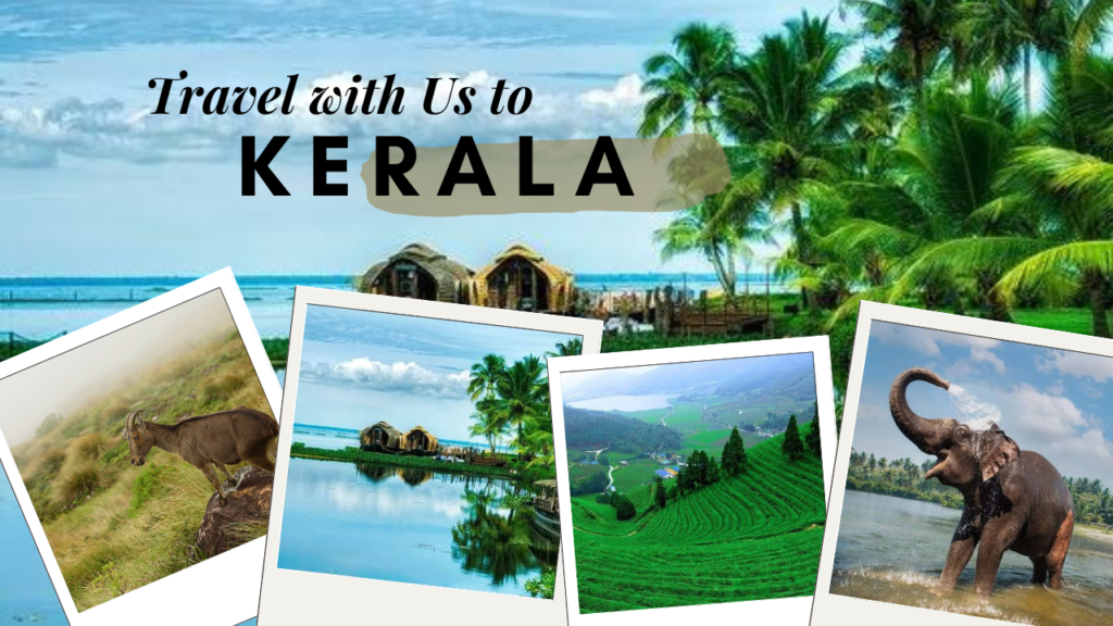 White and Yellow India Travel Vlog YouTube Thumbnail (1)